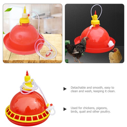 Automatic Water Feeder Poultry Feeding Container Chick Waterer Kit - Picture 9 of 12