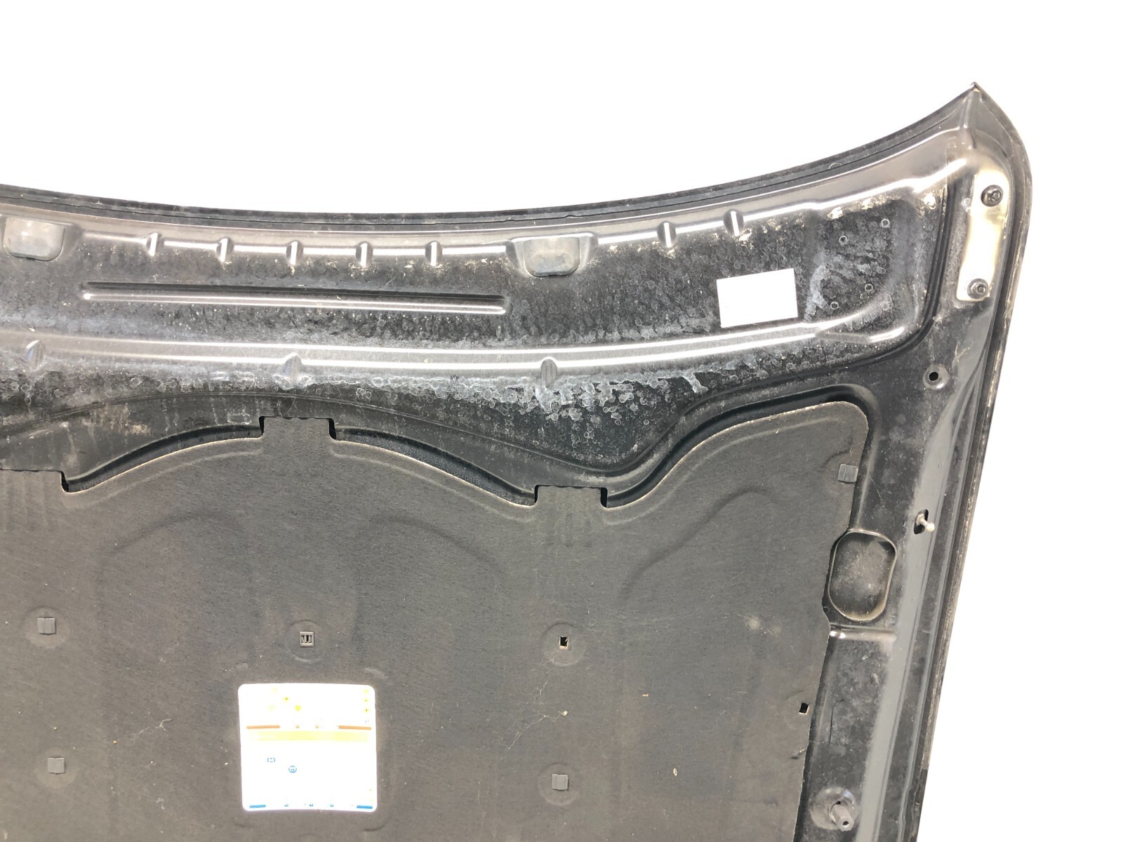 2014-2020 MASERATI QUATTROPORTE FRONT HOOD PANEL BONNET OEM #DENTS