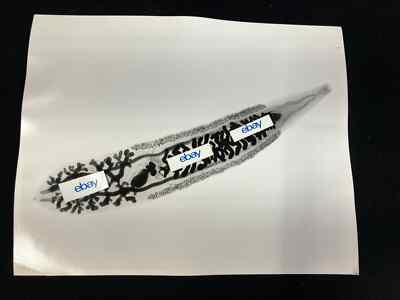 VINTAGE HUMAN PARASITOLOGY 11X14 ORIGINAL B&W PHOTO, CLONORCHIS SINENSIS