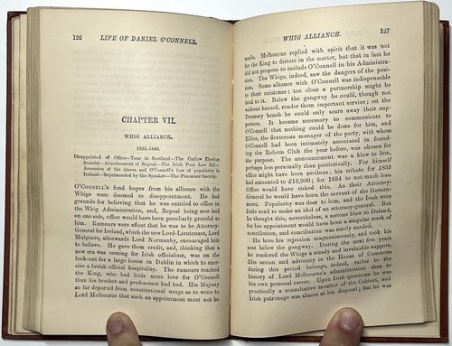 1888 LIFE OF DANIEL O'CONNELL HAMILTON IRISH HISTORY BIOGRAPHY POLITICS 1ST RARE - Picture 14 of 15