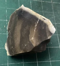 Texas Georgetown Flint Rock Dark Ringed Quality Knapping Fire Making 0.71 lbs