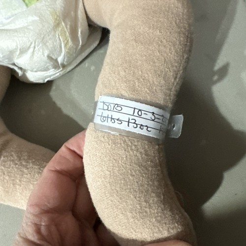Charlotte Meadows 20” 7 Pound Cuddle Baby - Imagen 11 de 14