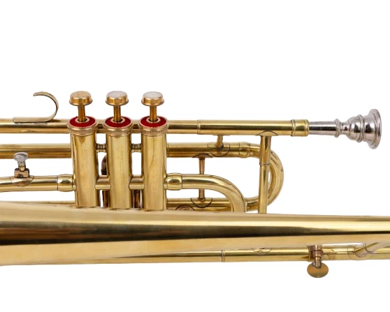 РОЖДЕСТВЕНСКИЙ клапан тромбон латуни с чехлом, мундштук - гладкий, теплый тон Trumbone, - Изображение 4 из 4