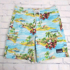Hollister Board Shorts Mens Large Swim Hawaiian Floral Blue White Beach Tropical