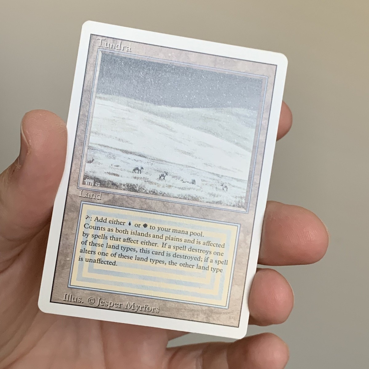 Tundra - Magic The Gathering - Revised | MTG | NEAR MINT OR