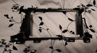 Picture 3 of 6