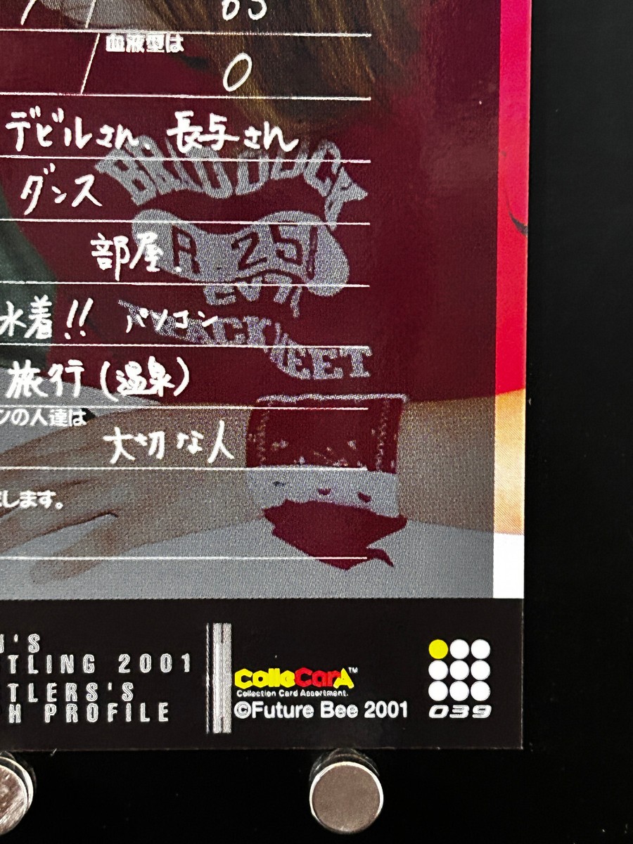 ☆Yuuu☆ Ran YuYu Women's Pro Wrestling Card 039 Japanese 2001