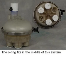 A&A Manufacturing Top Feed Valve O-ring  Shatsa Pool 518053 230047