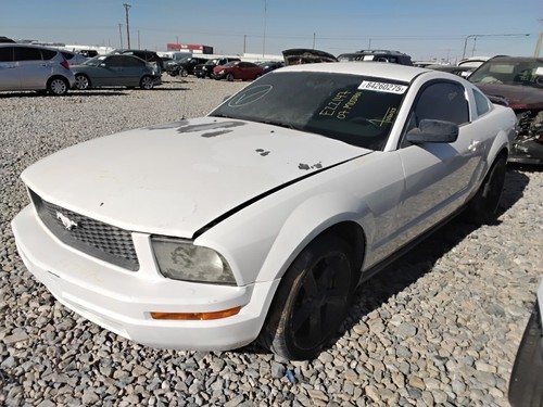 Stunning 2007 Mustang Manual Transmission Photos