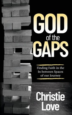 God of the Gaps Finding Faith in the In-between Spaces of our Journey Love Buch