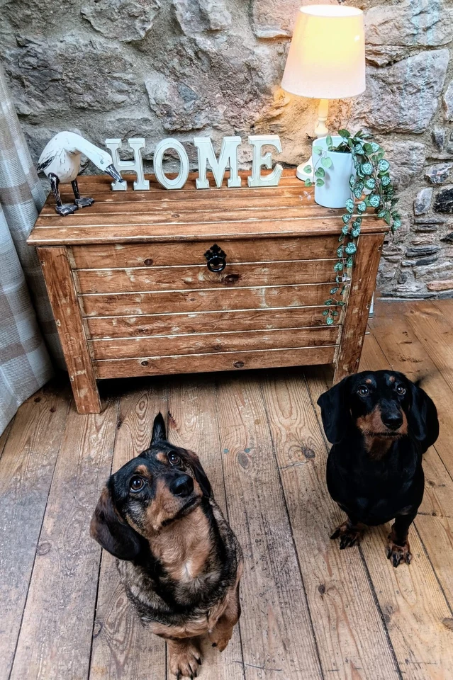 Rustic Panelled Pine Storage Chest - Image 4 of 4