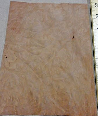 Details about   Madrone Burl wood veneer 6" x 6" raw no backing 1/42" thickness sample size