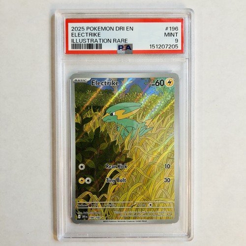 Electrike graded PSA 9 for sale on eBay