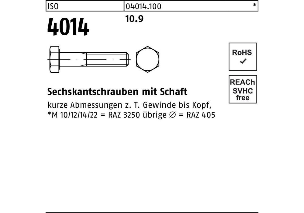 Рейхерское защитное устройство ISO 4014 m.Schaft M 10 x 65 10,9