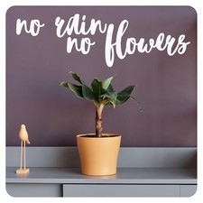 No Rain No Flowers Motivational Inspirational Wall Decal Sticker Quote Decor