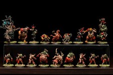 Blood Bowl Pro Painted Team Builder - Warhammer Fantasy Miniatures COMMISSION 