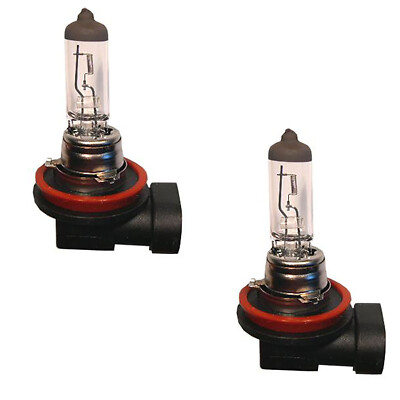 2x H11 Glühlampe Glühbirne Leuchtmittel für 12V 55W Sockel Pgj19-2 Neu ab Lager 