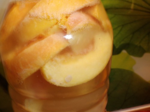Wasserkefir Kristalle, 50 g Kristalle, Probiotisches Getränk, Japankristalle - Bild 4 von 7