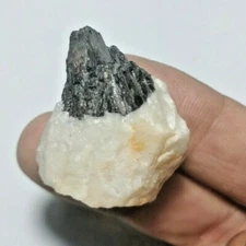 21.0 gm Native Natural Wolframite With Quartzite From Kayin state Myanmar