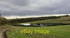 Photo 6x4 Homestead Farm North Houghton Looking SSE. Farm is in a seclud c2006