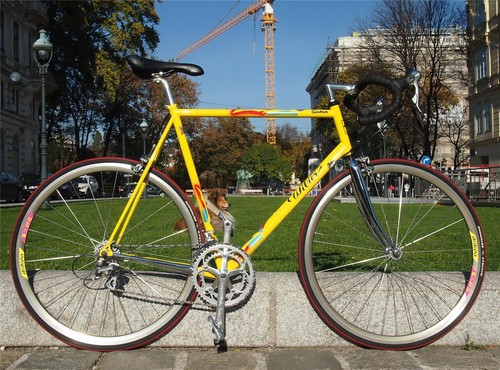 Beautiful Wilier Triestina Columbus Thron Road bike Shimano 600 60cm Pantani  | eBay