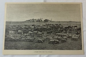 1889 magazine engraving ~ A PRAIRIE STOCK FARM in the Dakota Territory