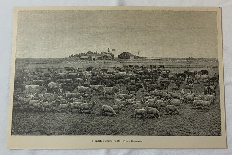 1889 magazine engraving ~ A PRAIRIE STOCK FARM in the Dakota Territory