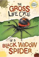 William Anthony | The Gross Life Cycle Of A Black Widow Spider | Taschenbuch