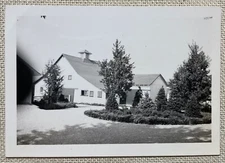 Vintage Photo White Barn With Christmas Trees in Yard Black & White 2.5" x 3.5"