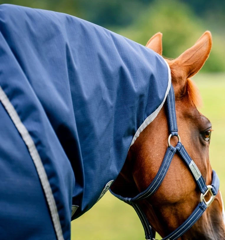 Horseware Amigo Ripstop 900D Plus Turnout 100g Weide Decke mit Halsteil navy/tit - Bild 4 von 4