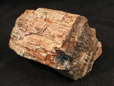 2lb 6oz Petrified Wood W/ Druzy Quartz from Northeastern Arizona