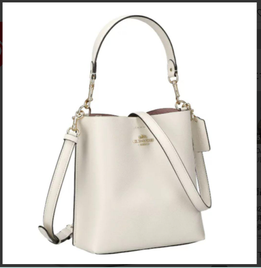 COACH CA177 Mollie Bucket Bag 22 Double Face Leather Chalk White