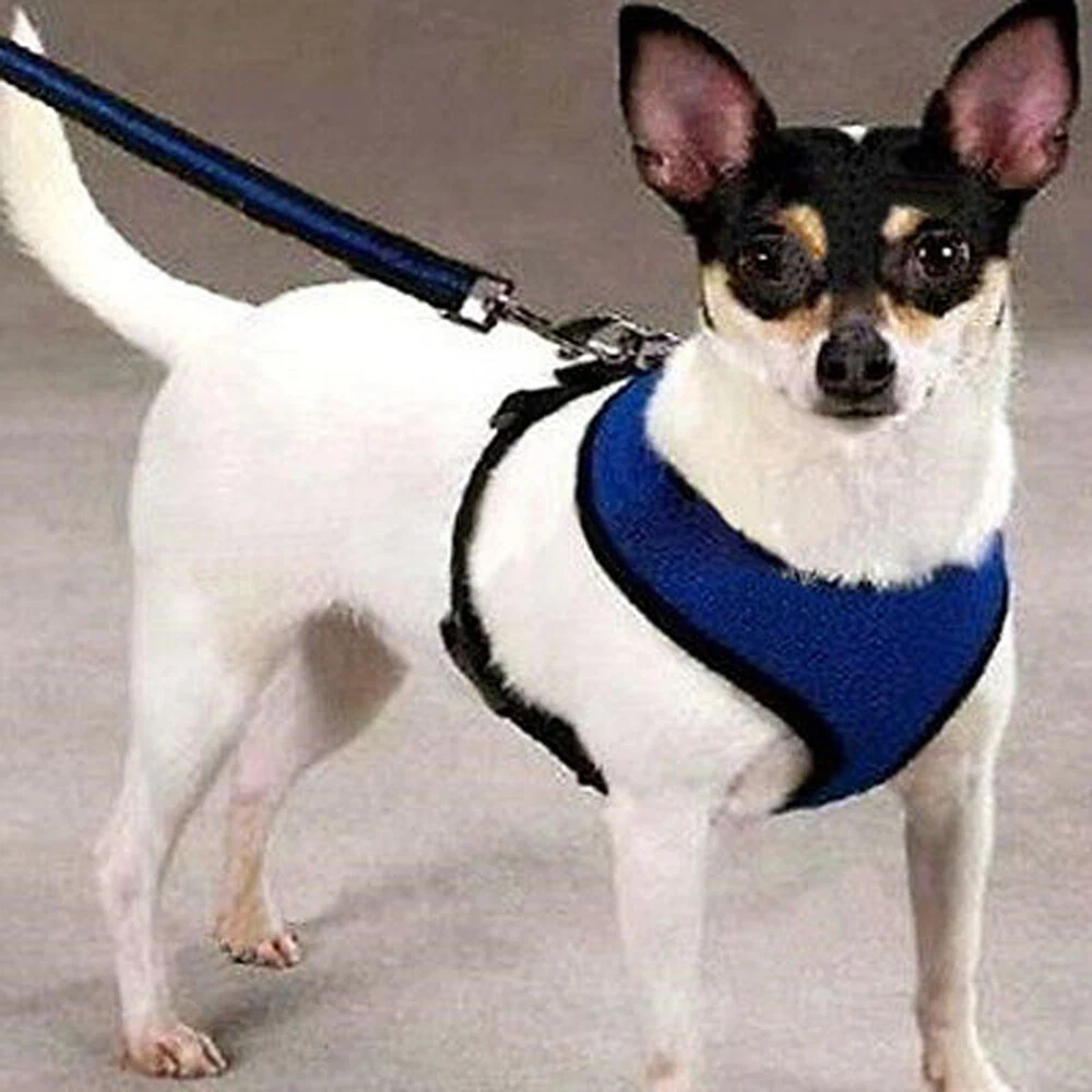 Dog Harness Puppy Adjustable Safety Mesh Vest Chest Straps Pet Outdoor Supplies~