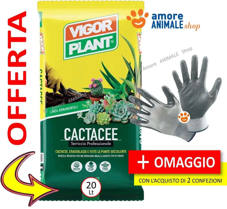 VigorPlant Terriccio CACTACEE → 20 Lt - per Coltivazione Piante Grasse, Cactus