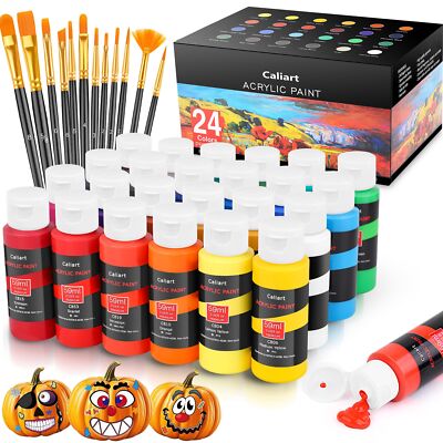 Acrylic Paint Set With 12 Brushes 24 Colors 59ml 2oz Art Craft Paints Gifts f...