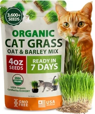 Organic Cat-Grass Seed Mix (Oat & Barley) – 4 Oz – Easy Indoor Planter
