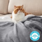 Foto 5 di 7