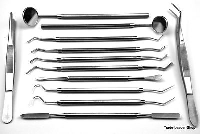 12 Dental Examination Set Tartar Scratcher Mirror Root Elevator Heidman Spatula