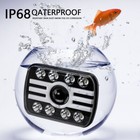 Afbeelding 11 van 11