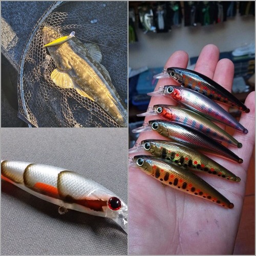 wLure 10 Blank Minnow Fishing Lure Bodies 3 Inch Unpainted Lure UPM762 - Picture 6 of 8