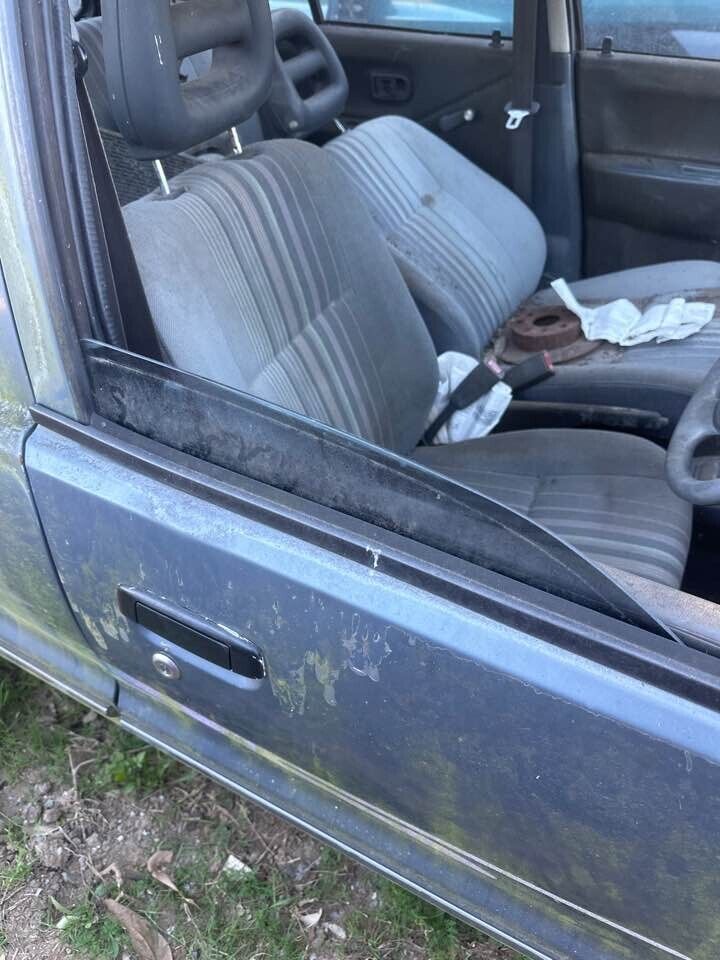 Picture 1 of 12