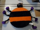 Bild 4 von 6