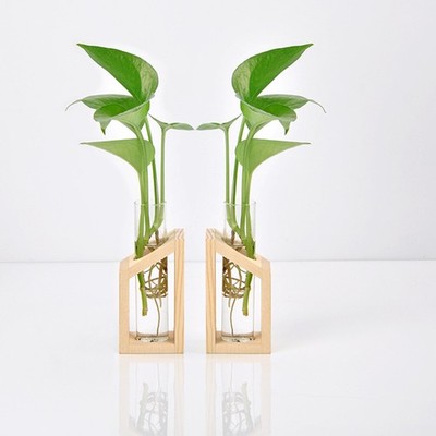 Test Tube Flower Vase on Wooden Stand Artistic Planter for Hydroponic Plant