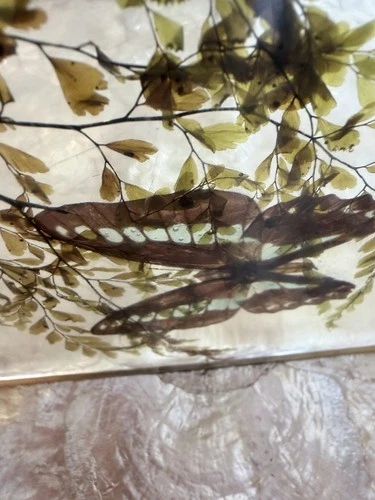 Vintage Lucite Resin Butterfly Fern Specimen Trivet Display 8in MCM Decor image 11