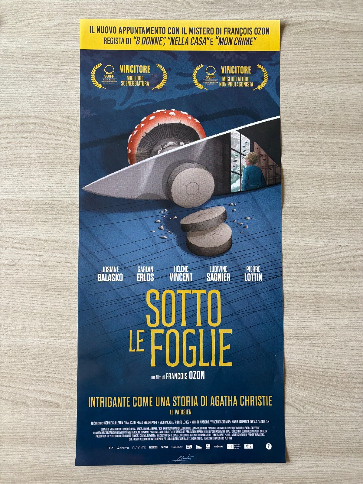 Locandina di Sotto le foglie (2024)