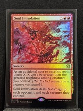 Soul Immolation M 156 Lorwyn Eclipsed (ECL) MTG Foil NM