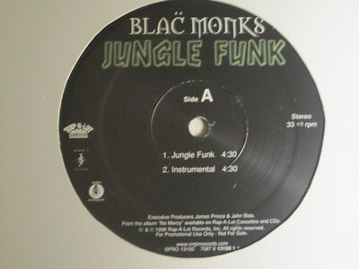 SUMTHIN SERIOUS G-RAP G-FUNK レコード SUMTHIN SERIOUS G-RAP G-FUNK