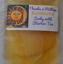 KOMBUCHA SCOBY 4"  1 CUP of starter tea Makes 1 Gallon Batch