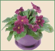 Purple Violets in Vase Counted Cross Stitch Chart No.14-133