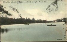Livingston Manor NY White Roe Lake c1910 Postcard